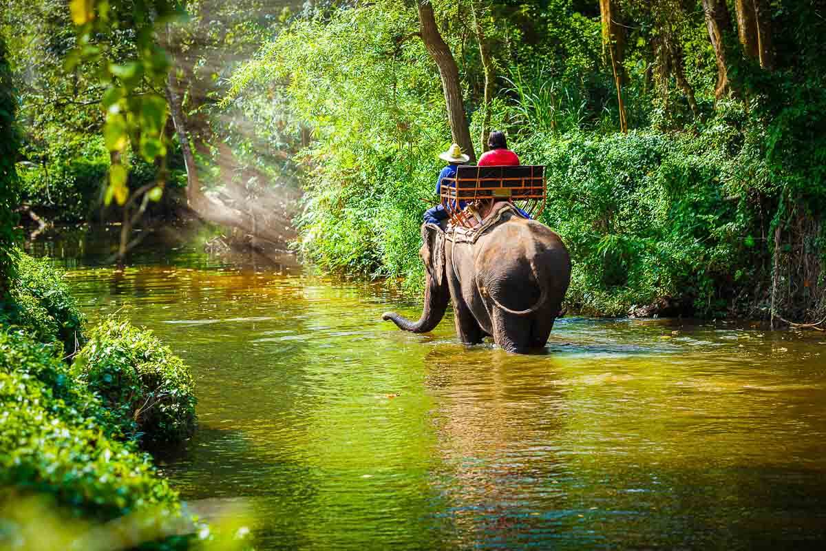 Elefantentour in Thailand