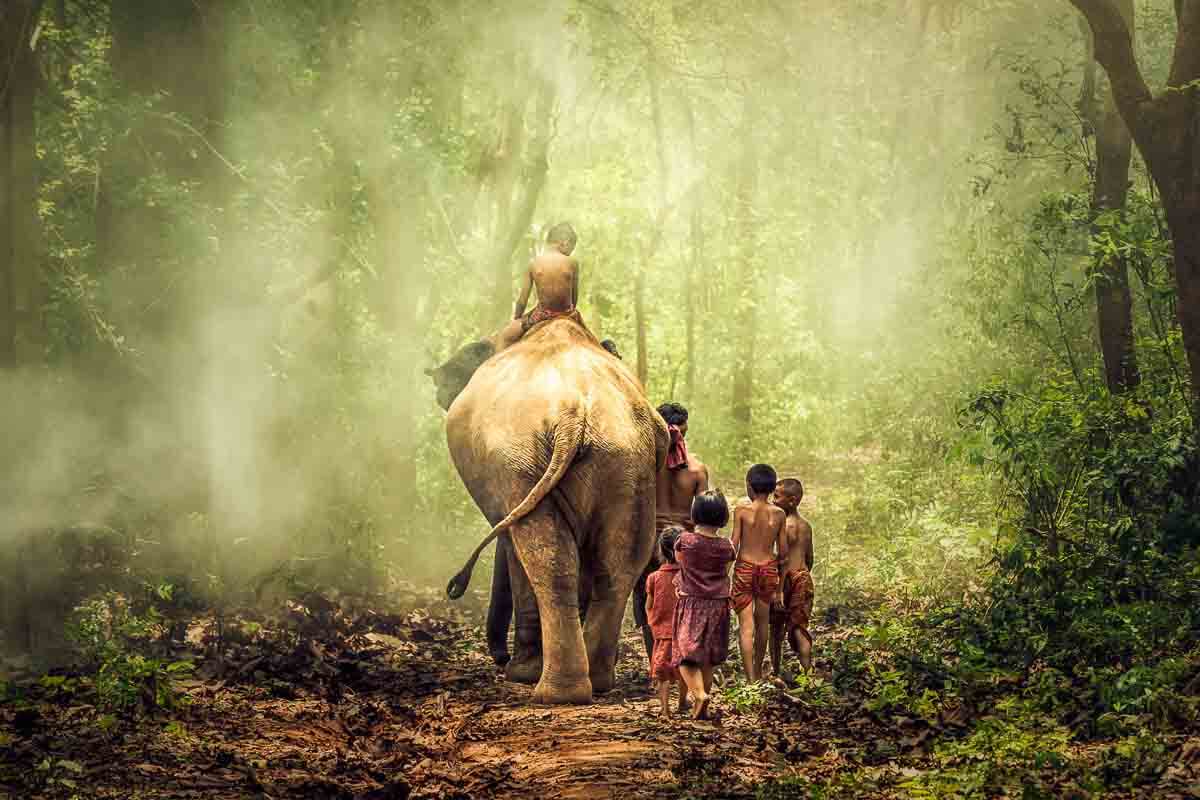 Elefant mit Kindern